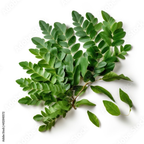 Curry leaves isolated on white background. Generative AI photo