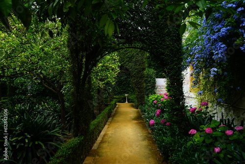 Palacio de las Duenas garden in Seville, Andalucia, Spain photo