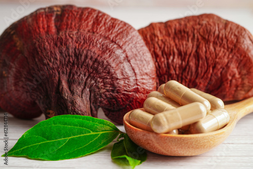 Lingzhi or Reishi mushroom with capsules, organic natural healthy food.