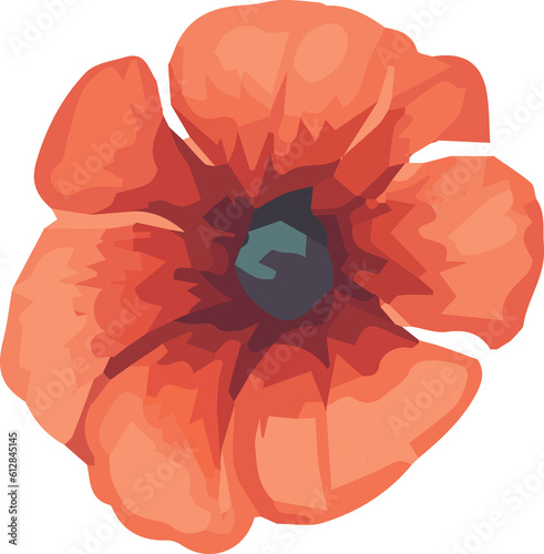 realistic watercolor poppy flower painting