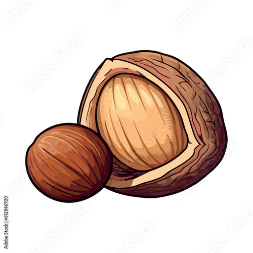 Fresh organic nut snack, ripe