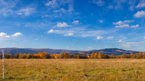 Autumn rural landscape in grass field. Mountains, bright clear blue sky and isolated clouds in the background. - generative ai