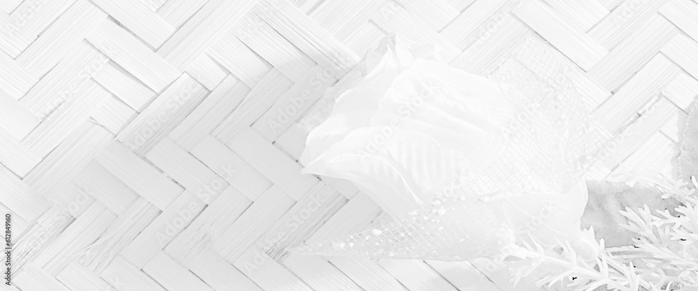 Beautiful tropical flowers with leaves on white color background