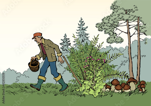 Vector drawing. Man picking mushrooms in the forest