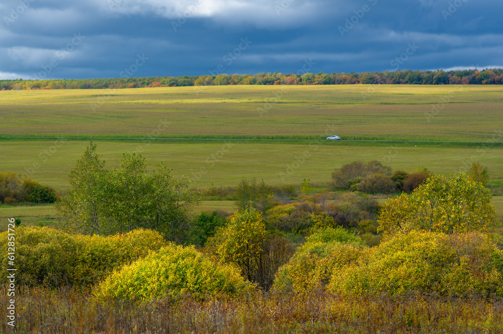 Autumn landscape photo. Flat flora of Europe. Meadows, ravines, thickets, open deciduous or mixed forest. Meadows in September