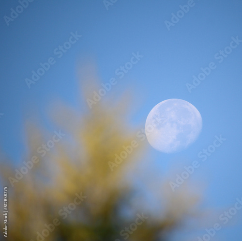 moon in the sky
