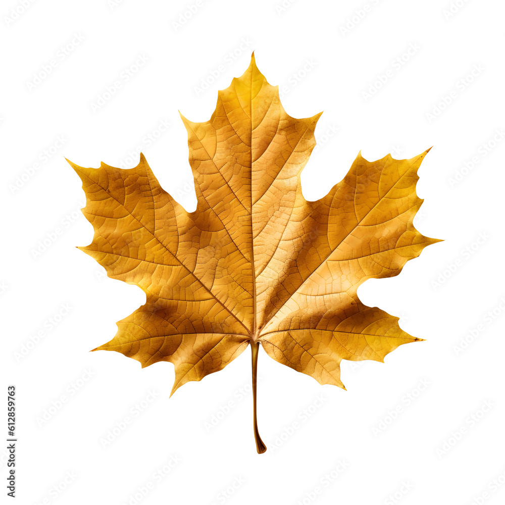 yellow maple leaf, autumn season, generative ai generated