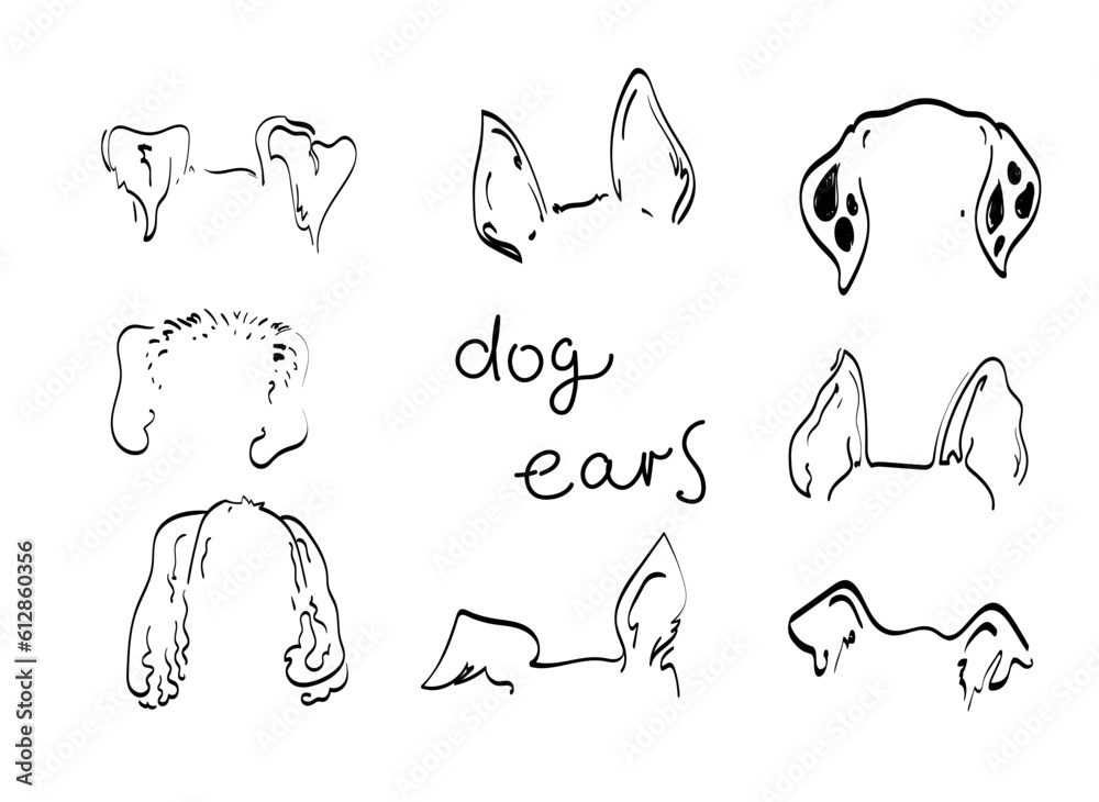 Fototapeta premium Pet dog Ears tattoo Outline Drawing doodle vector icon illustration