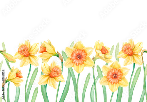 Seamless horizontal pattern with yellow blooming daffodils and green leaves and stems. Spring colorful border. Hand-drawn watercolor illustration. Floral design for fabric  packa