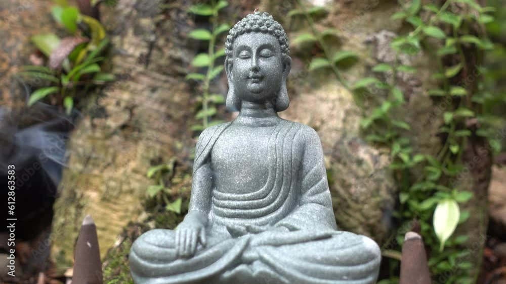 Buddha statue on the background of nature, incense smoke.
Buddha videos for relaxation, meditation. Buddha statue on the background of nature, incense smoke.
Buddha videos for relaxation, meditation.