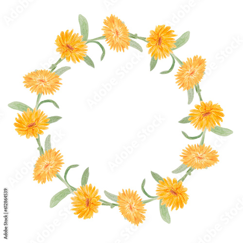 Wreath of orange calendula officinalis. Watercolor hand drawn illustration. Botanical frame for labels  eco goods  textiles  natural herbal medicine  healthy tea  cosmetics and homeopatic remedies.