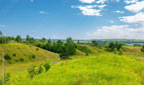 Summer landscape  river floodplain  picturesque shores  bright green grass with wild wildflowers  blue sky with white clouds  summer tender warm days 