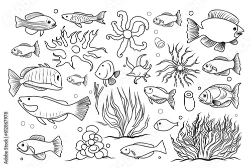 Underwater life coloring page. cartoon elements of the seabed linear illustration for coloring