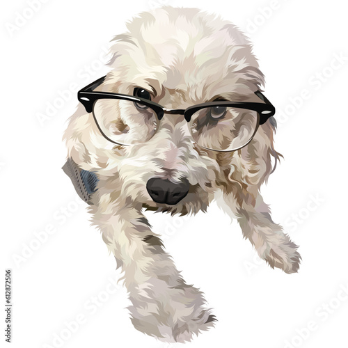 white dog wearing glasses