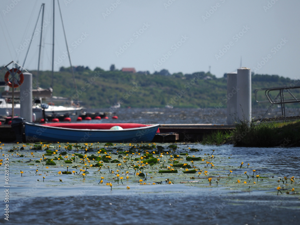 Obraz premium OLYMPUS DIGITAL CAMERA