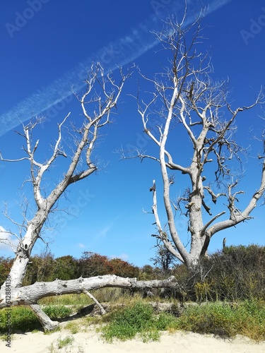 La côte de granville - Mont St Michel
