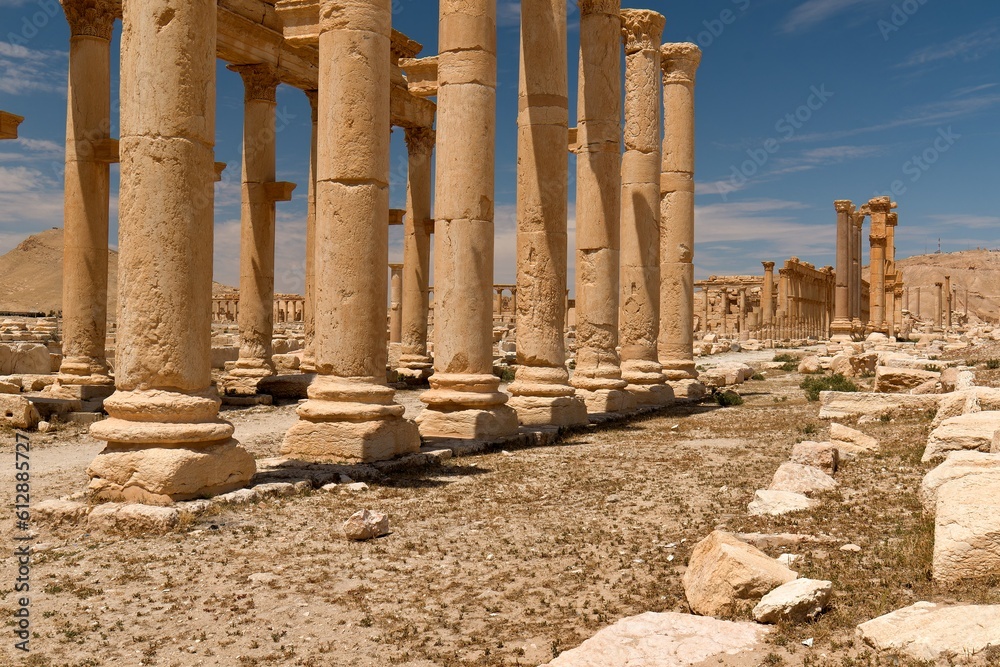 View of the ruins of the ancient city of Palmyra built in the 1st to 2nd century, the Great Colonnade. UNESCO World Heritage Site.