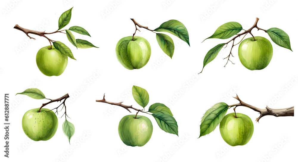 Watercolor green apple set. Generative Ai