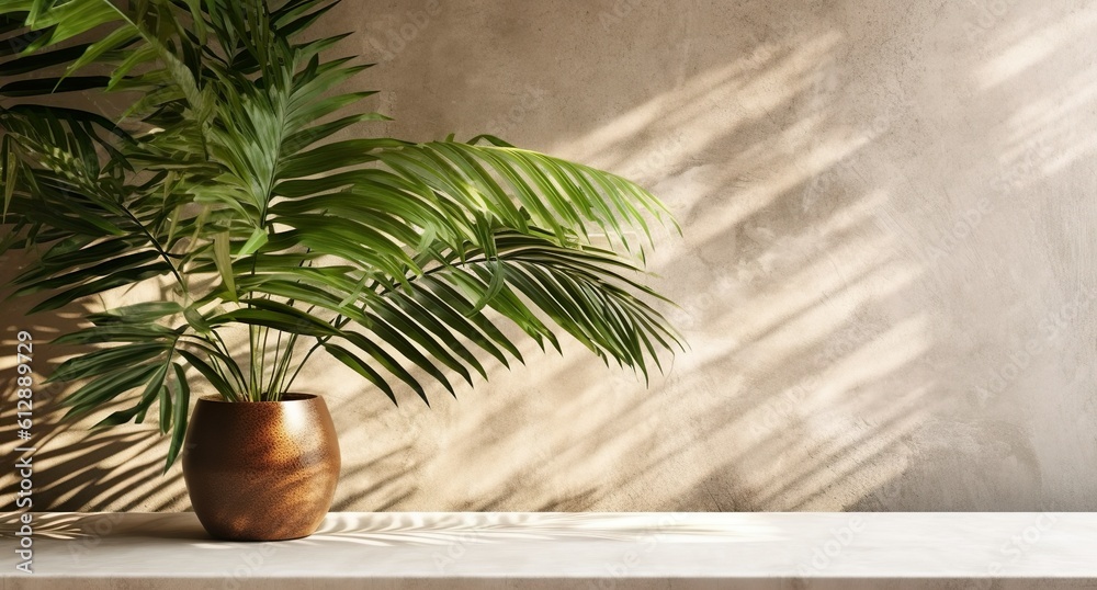 Gray cement wall and floor, palm tree in vase in a sunlight, shadow, sunrays effect from window, for luxury interior design decoration, product display background, Generative ai