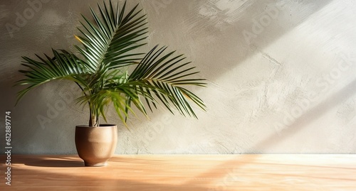 Gray cement wall and floor  palm tree in vase in a sunlight  shadow  sunrays effect from window  for luxury interior design decoration  product display background  Generative ai