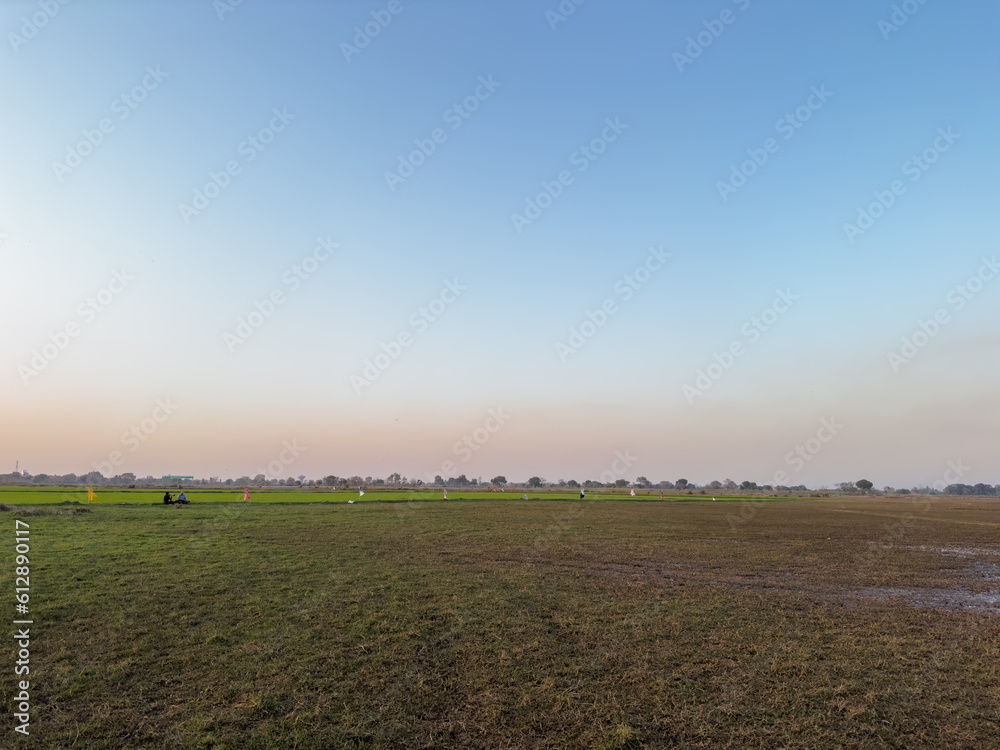 Landscape of indian farming field with blue sky. Landscape of indian farming field with blue sky.