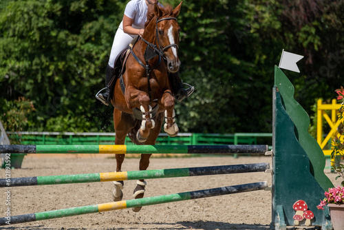 Show jumping competition on horseback. Horse Jumping, Equestrian Sports, Show Jumping themed photo.  © scatto