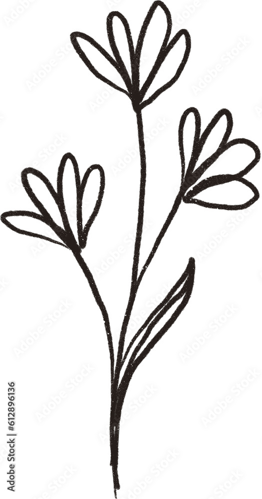 Flower line art Flower line art