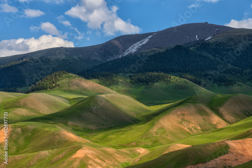 Picturesque alpine meadow on a summer day © Max Zolotukhin