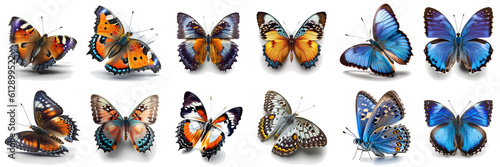 set of colorful butterflies isolated © I LOVE PNG