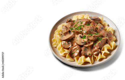 Plate of Beef Stroganoff wi...