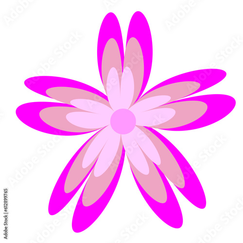 Colorful Flowers Illustration