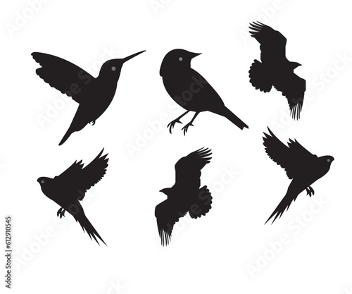 set of birds