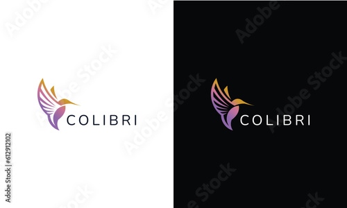 Line art hummingbird logo colibri vector, label, badge, illustration design