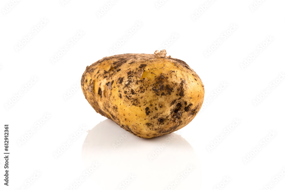 Dirty potato isolated on white background. Dirty potato isolated on white background.