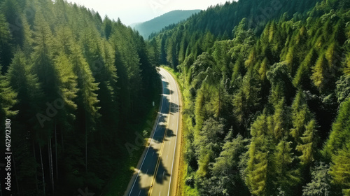 Aerial top view of asphalt road through green forest  healthy rain forest  environment  health  green economy  view of nature ecosystem for save Earth with Generative AI.