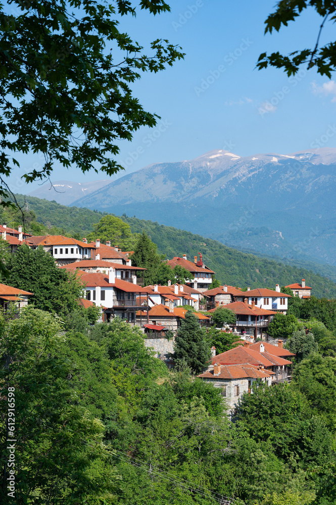 Fototapeta premium Springtime landscape showing the stone houses of traditional architecture in the village of Palaios Panteleiomonas in northern Greece