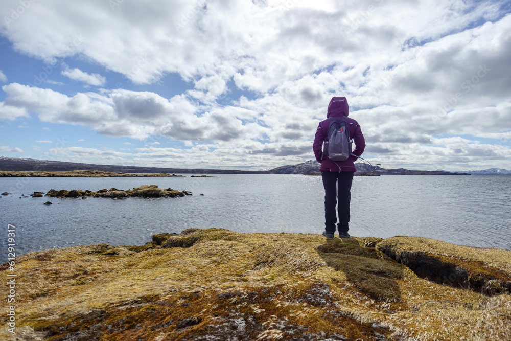 woman looking at a lake in iceland by day with a beautiful landscape in the background