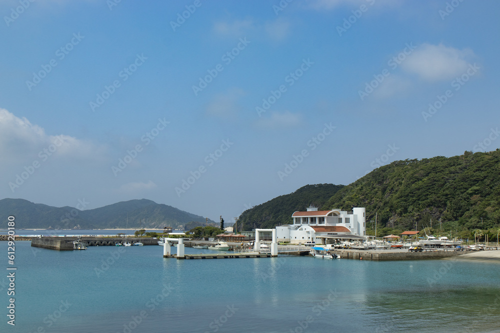 boats in the harbor