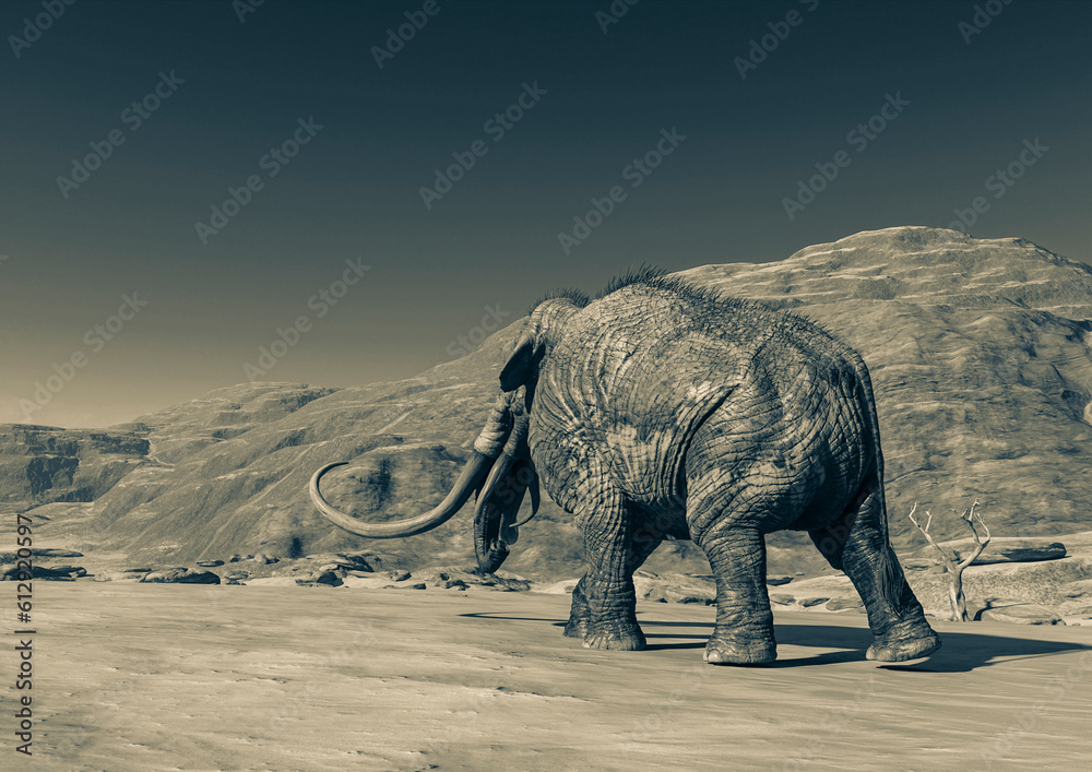 Fototapeta premium colossadon mammoth is walking on the dry desert in rear view with copy space
