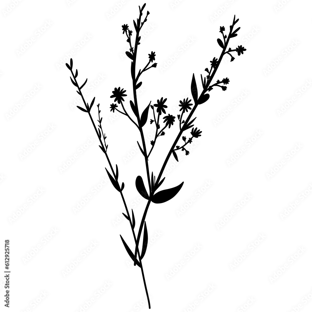 Silhouette botanic blossom floral element. Branch with leaves and flowers. Black hand drawing wildflower bouquet. Vector illustration herbs isolated on white background