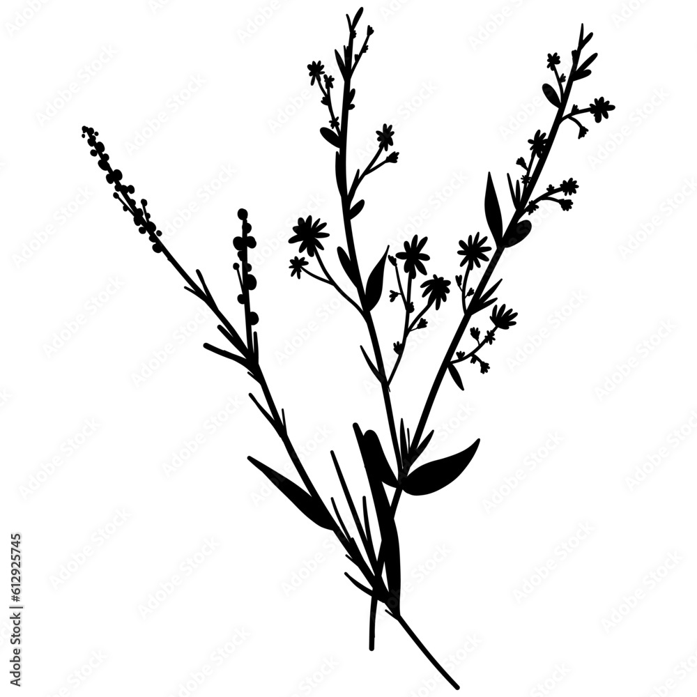 Silhouette botanic blossom floral element. Branch with leaves and flowers. Black hand drawing wildflower bouquet. Vector illustration herbs isolated on white background
