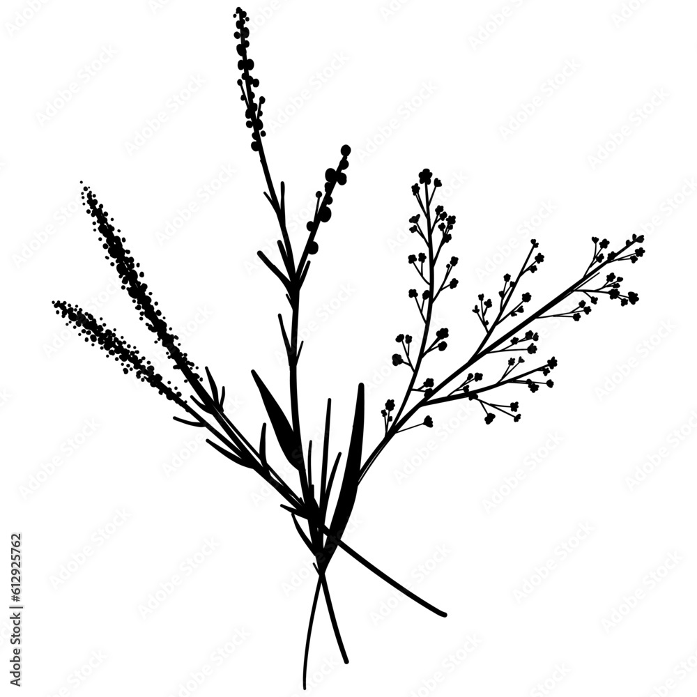 Silhouette botanic blossom floral element. Branch with leaves and flowers. Black hand drawing wildflower bouquet. Vector illustration herbs isolated on white background