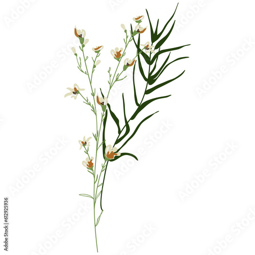 Field Flowers on Branch. Wildflower Icon. Hand Drawn 