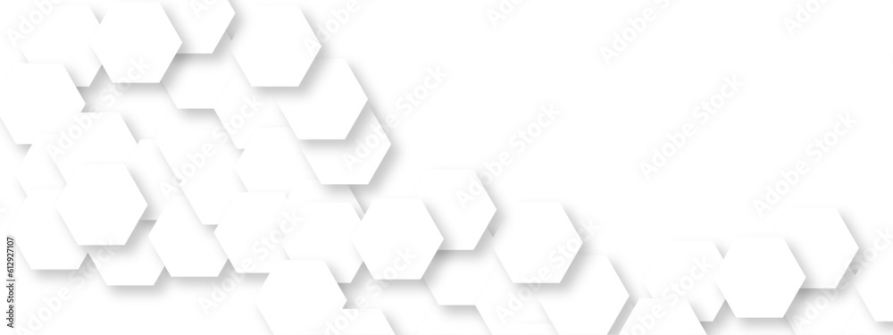 Obraz premium Abstract white and grey seamless hexagon pattern background. Abstract hexagonal concept technology background. Vector Illustration