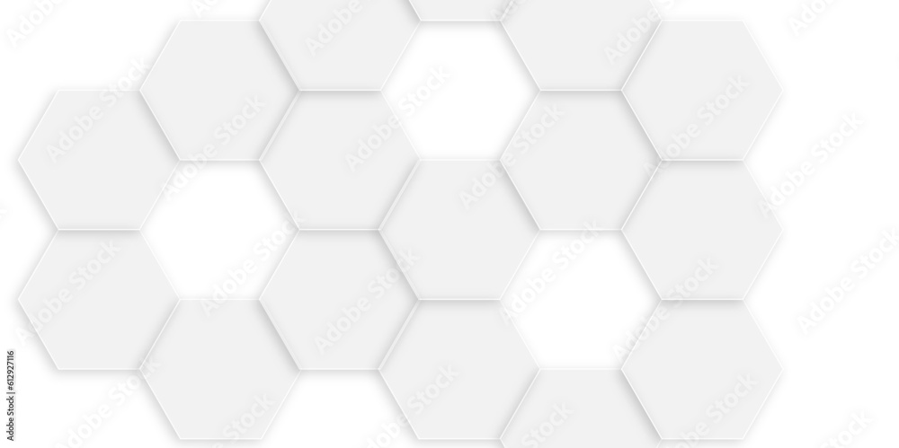 Luxury white and grey hexagonal abstract background with shadow. Geometric 3d texture illustration. Abstract hexagonal concept technology, banner and wallpaper background. Luxury white and grey hexagonal abstract background with shadow. Geometric 3d texture illustration. Abstract hexagonal concept technology, banner and wallpaper background.