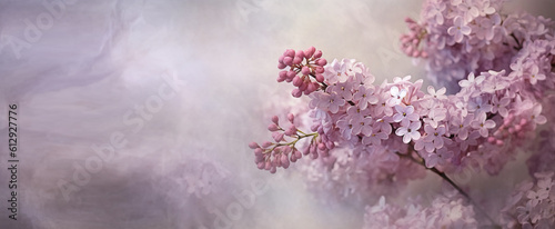  Pink and Purple Lilac Blooms in Springtime, Set on a Beautiful Soft Blurred Canvas of Calmness. Generative AI.
