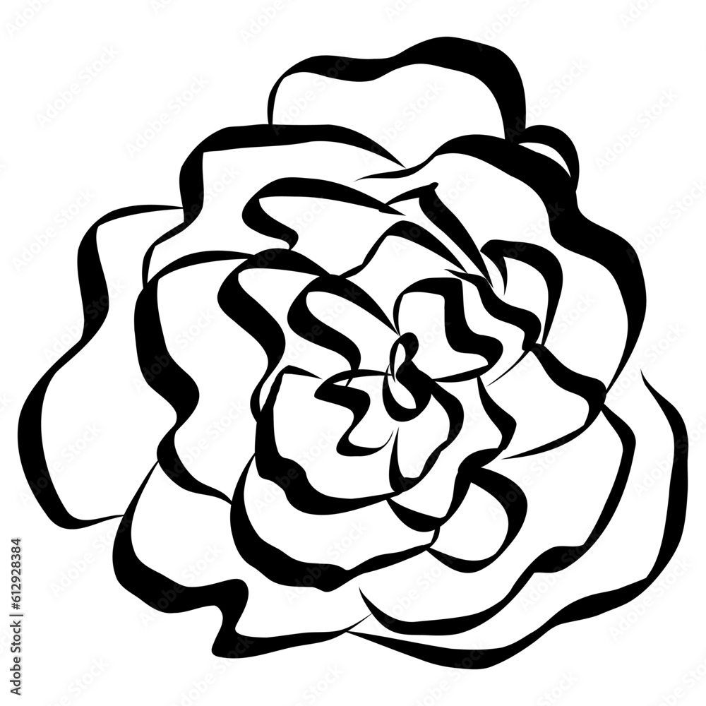 Rose Flower Icon. Simple Hand Drawn Floral Element. Black Sketch ink Drawing Plant. Wildflower