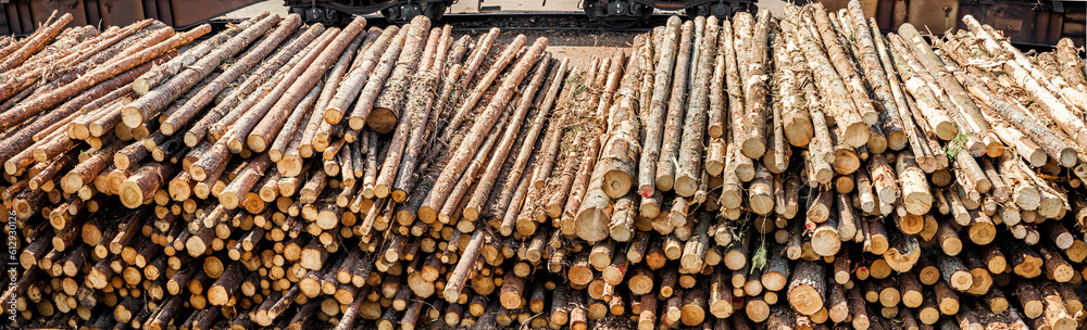 Lagerung, Verladung und Transport von Holzstämmen Lagerung, Verladung und Transport von Holzstämmen