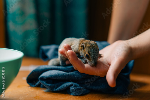 girl holding a little squirrel in her hand