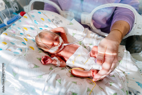 Unrecognizable mother touch and care premature baby placed in a medical incubator. Neonatal intensive care unit in hospital. photo